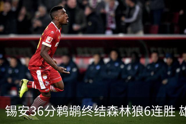 锡安36分鹈鹕终结森林狼6连胜 雄鹿险胜公牛